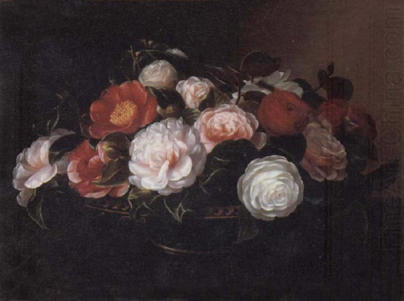 Camellias, Jensen Johan